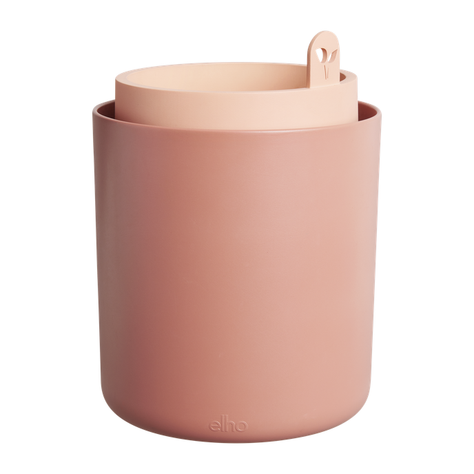 bouncy basil terra caramel